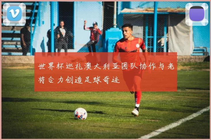 世界杯巡礼澳大利亚团队协作与老将合力创造足球奇迹